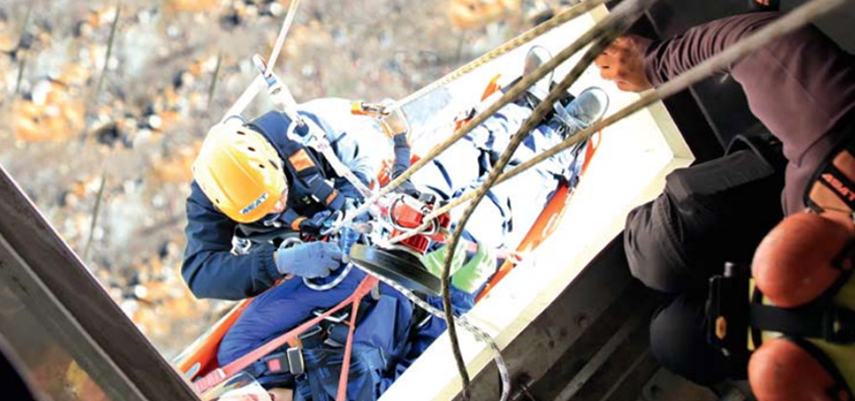 進口防墜器品牌